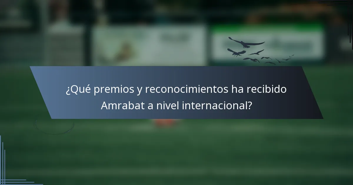¿Qué premios y reconocimientos ha recibido Amrabat a nivel internacional?